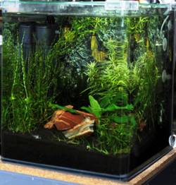 Fluval flora planted aquarium hot sale kit